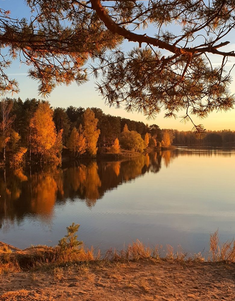 Photograph by Ольга Захариаова