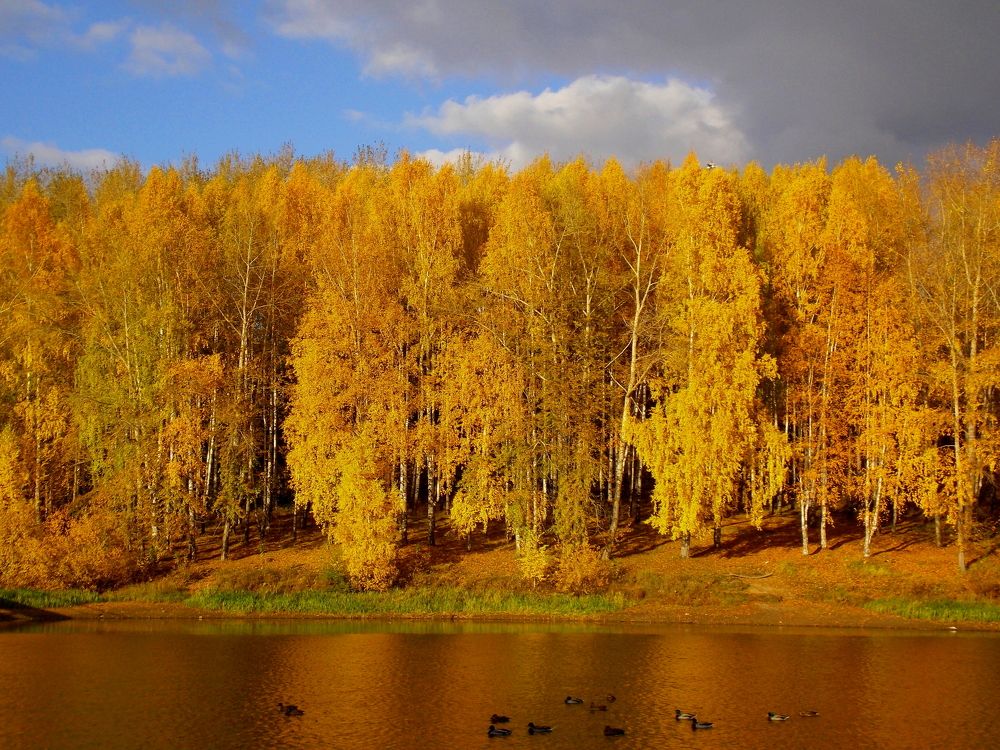 Photograph by салим насыпов