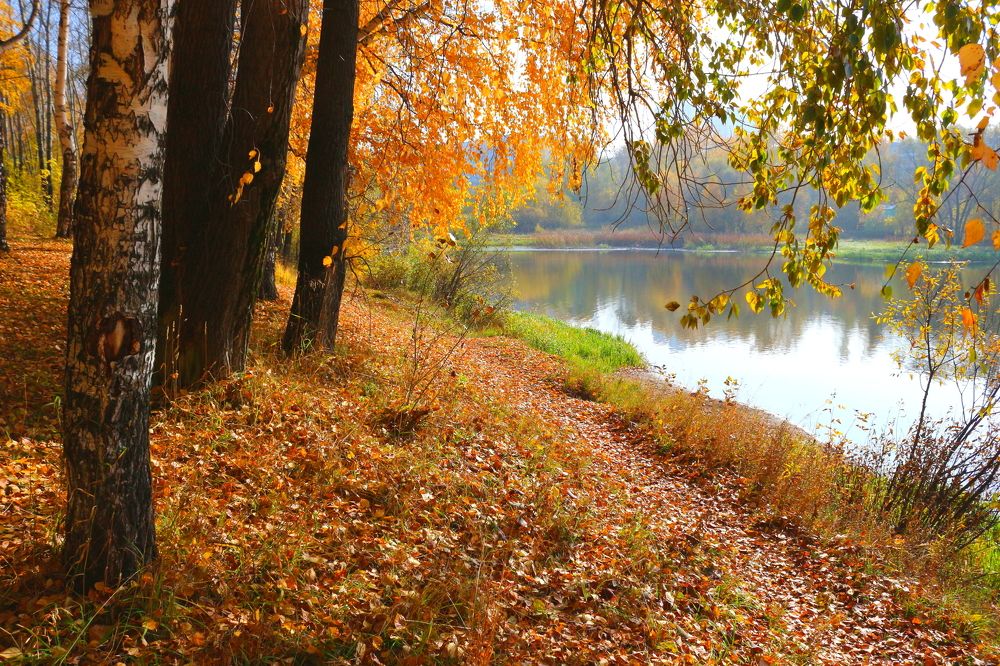 Photograph by салим насыпов