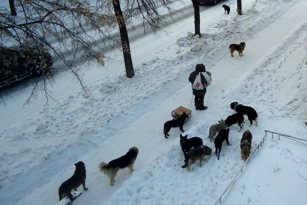 Photograph by Сергей Хвостовец