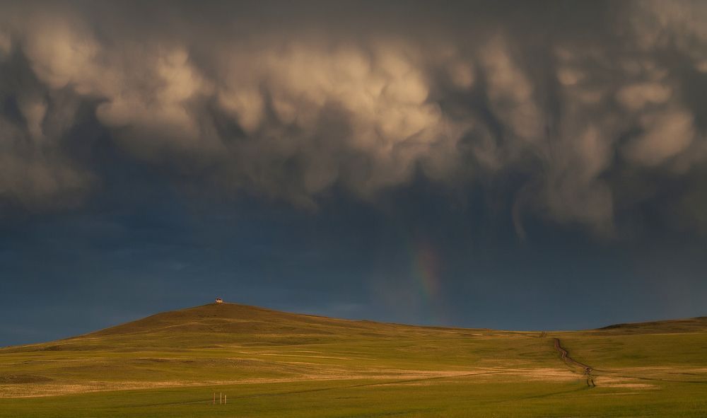 Photograph by Трофимов Алексей