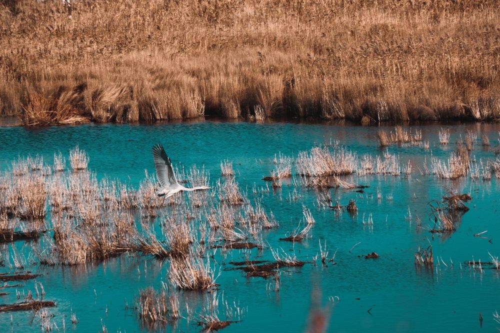 Photograph by Svetlana Victorovna Kibyakova