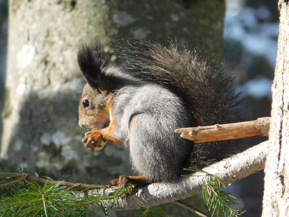 Photograph by Алексей И