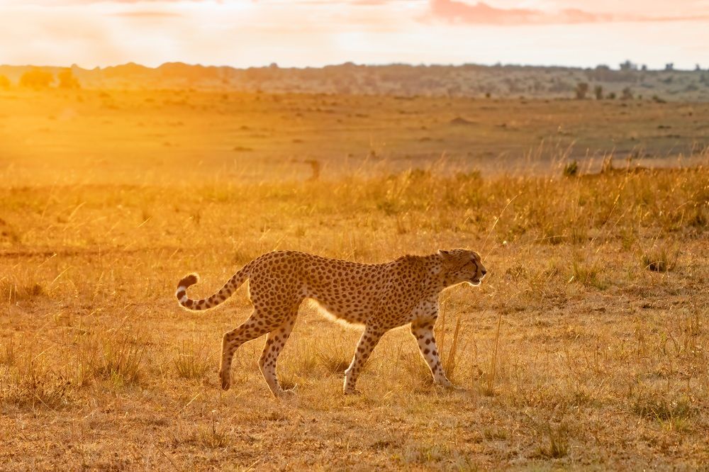 Photograph by Adrian Grigore