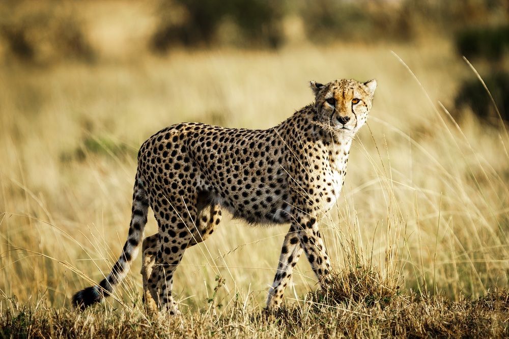 Photograph by Adrian Grigore