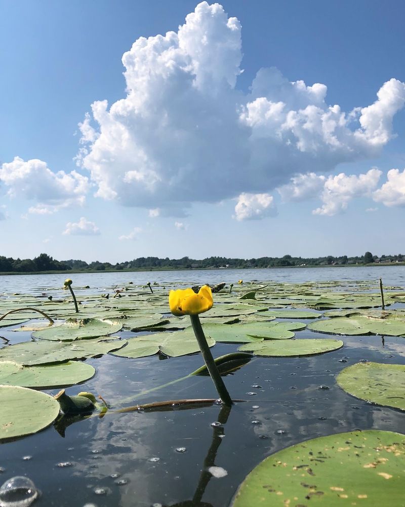 Photograph by Лариса Акинчиц