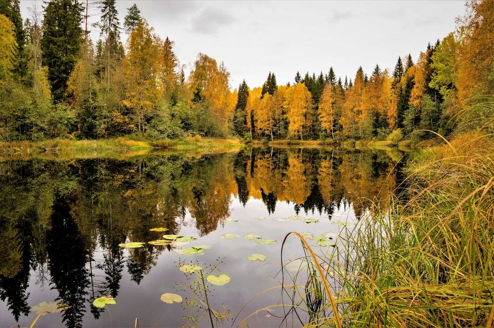 Photograph by Олег Менакер