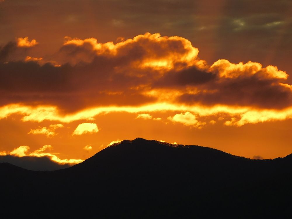 Photograph by Алексей И