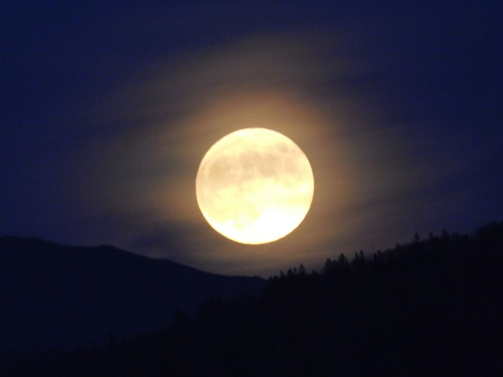 Photograph by Алексей И