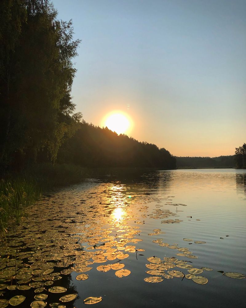 Photograph by Лариса Акинчиц