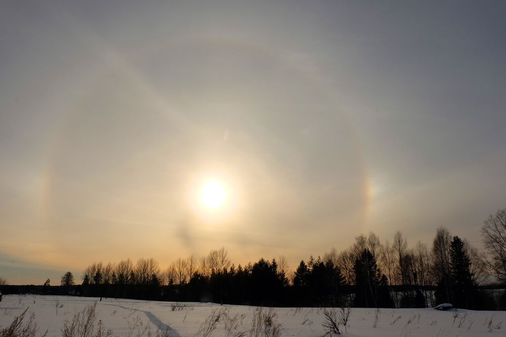 Фотография автора Наталья Липовская