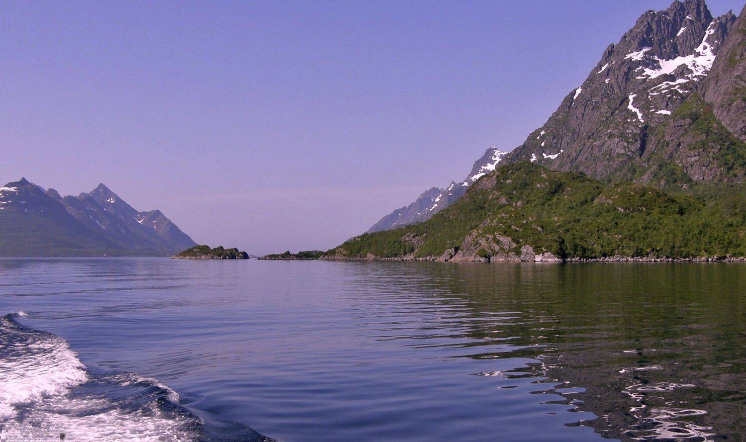 Photo #8470149