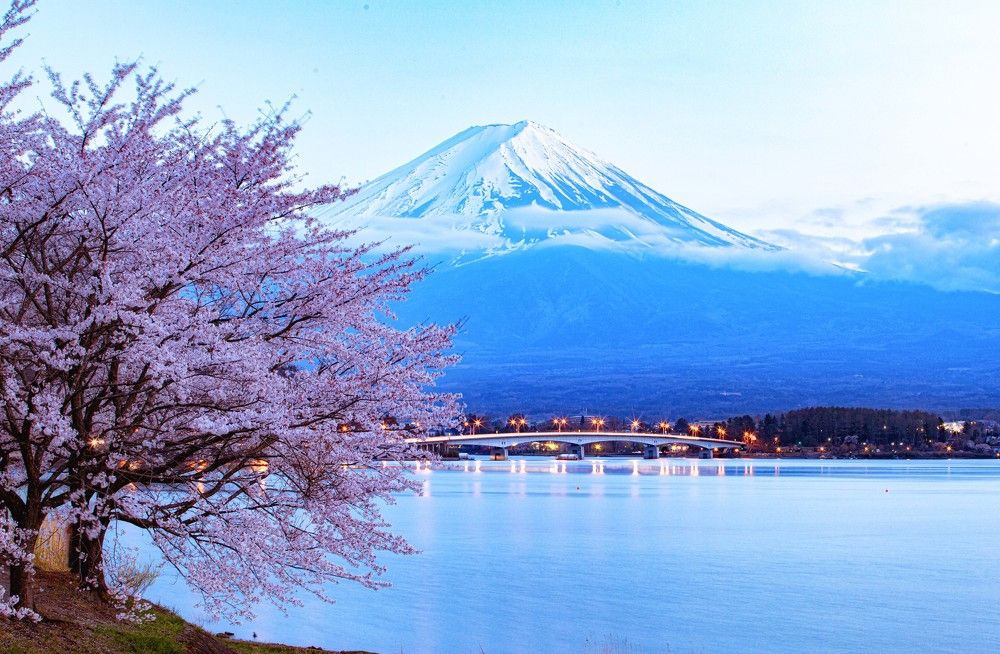 Photograph by quanh lê