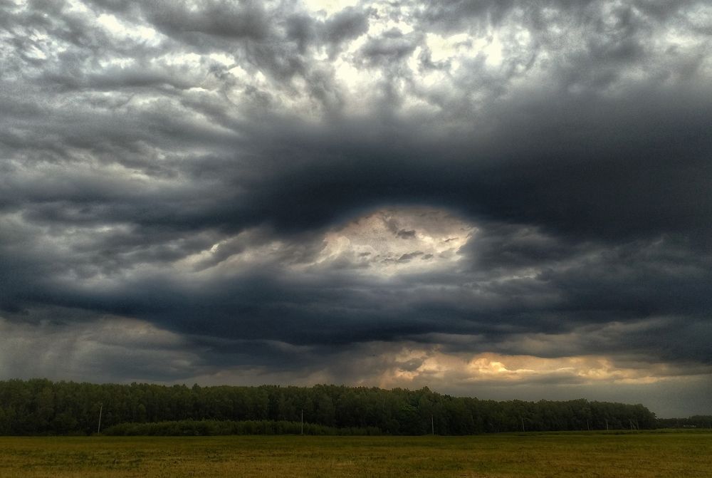 Photo #8470212