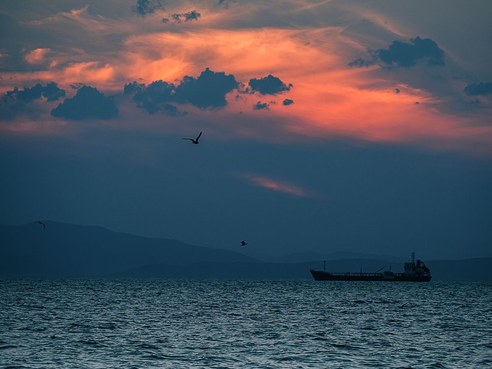 Photograph by Матвей Матвеев