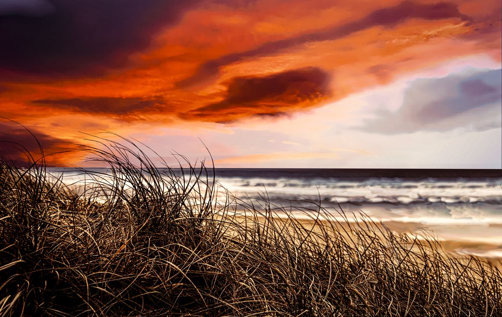 Photograph by Judit Mikol