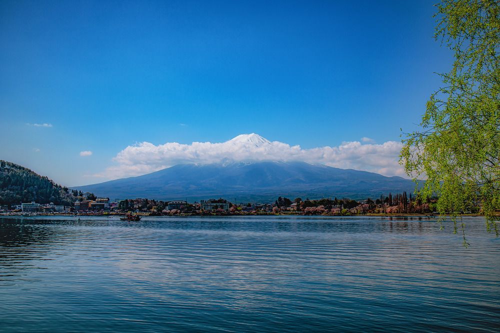 Photograph by Quang Dieu Le