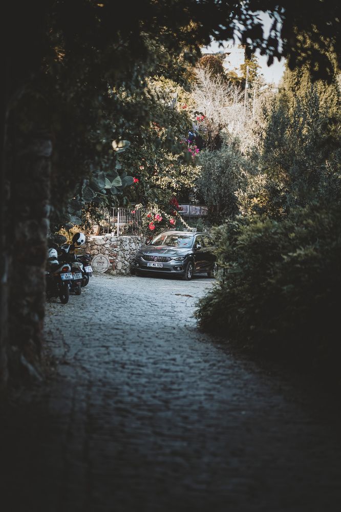 Photograph by Алексей Сафонов