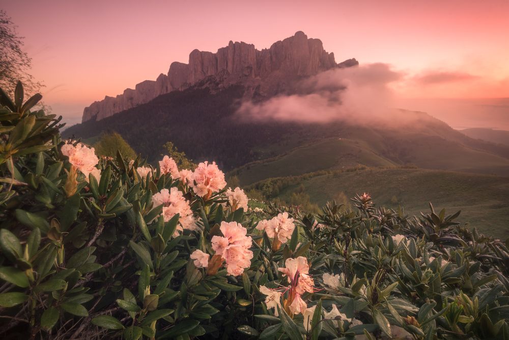 Фотография автора Перевозчиков Андрей