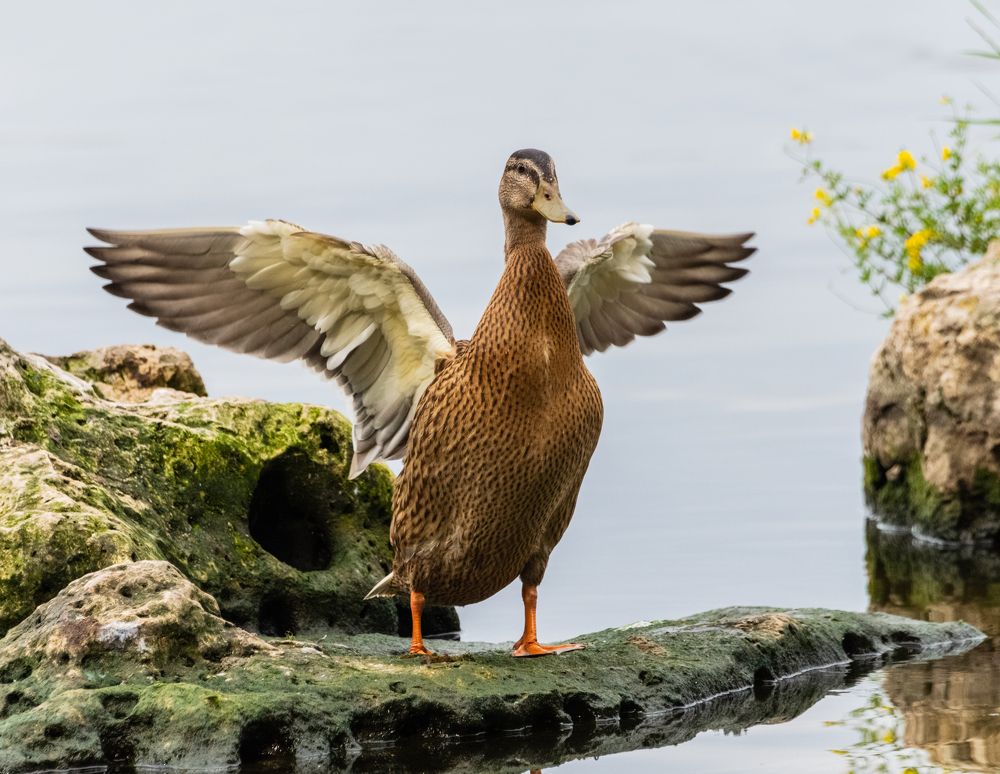 Photograph by Сергей Мальцев