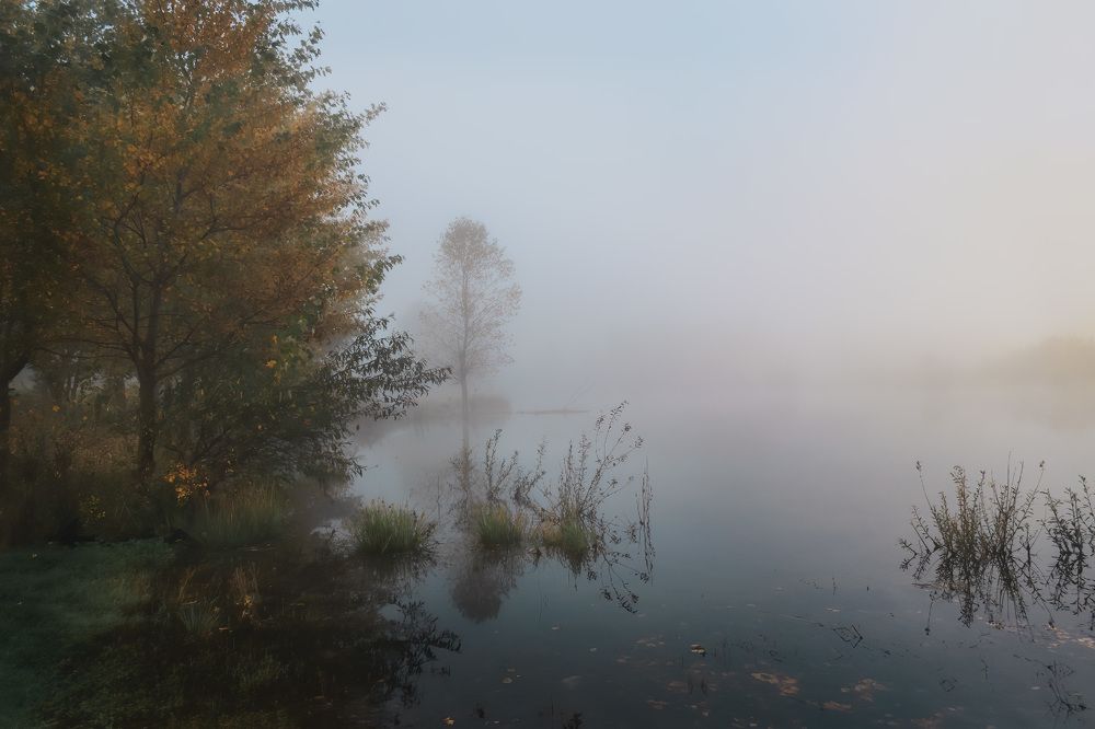 Photograph by Алиева Татьяна