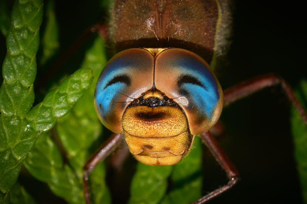 Photograph by Игорь Тымчук