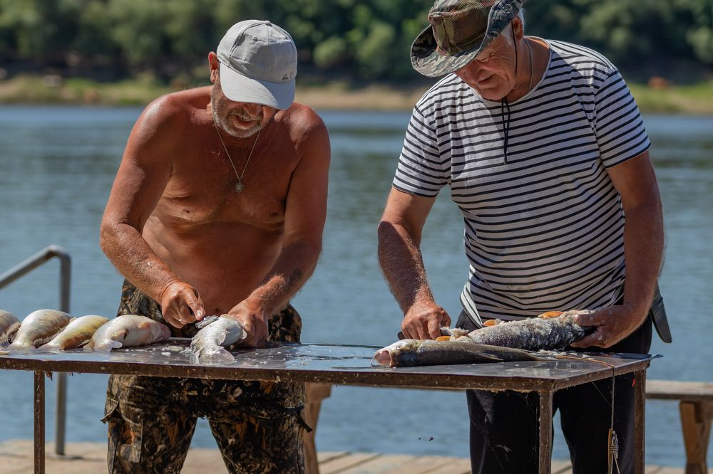 Photograph by Светлана Тараканова