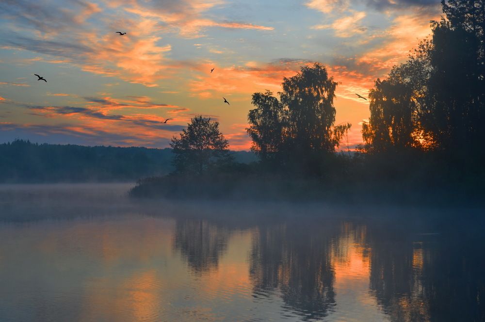 На рассвете к солнцу
