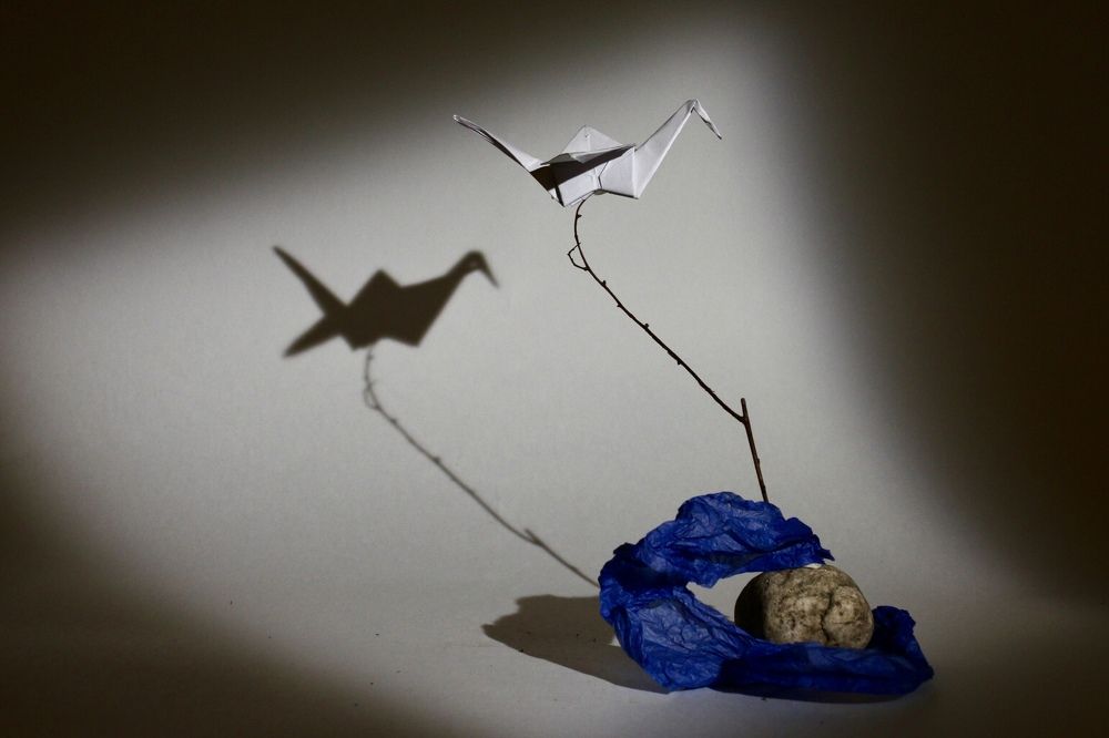 Photograph by Алена Евгеньевна