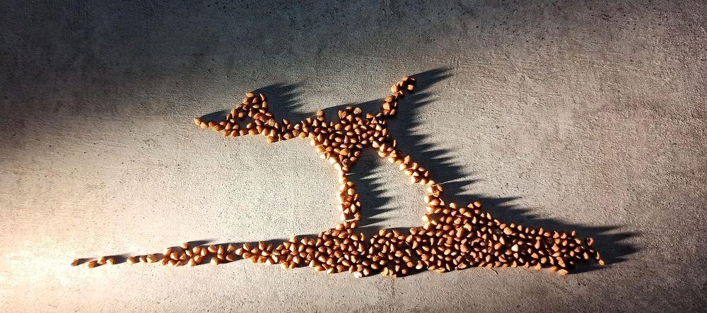 Photograph by Ольга Левакова