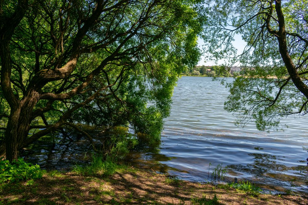 Photograph by Юлия Боровкова