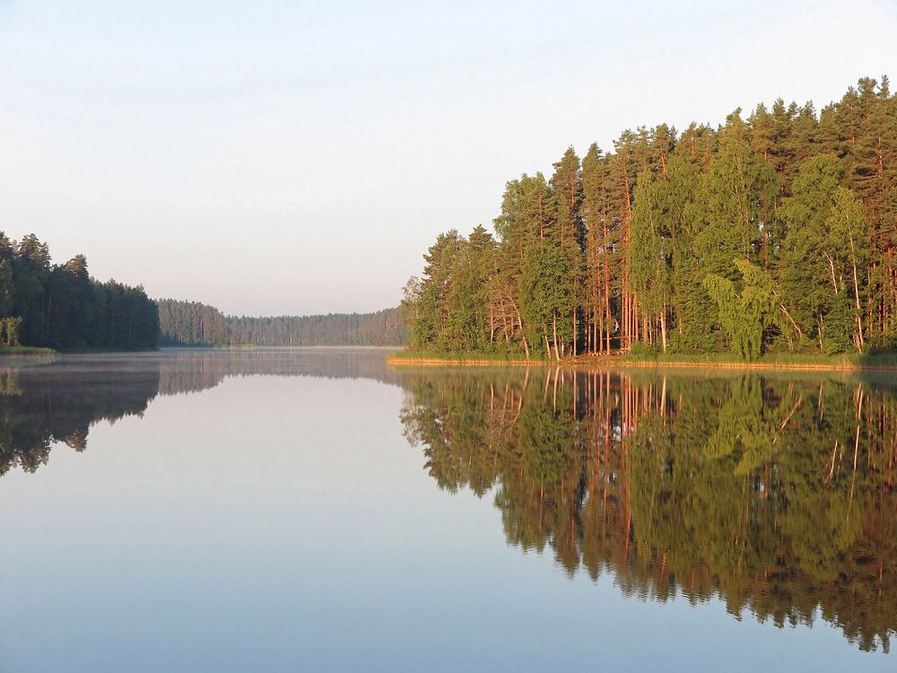 Photograph by Владимир Шаплов