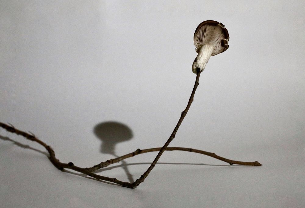 Photograph by Алена Евгеньевна