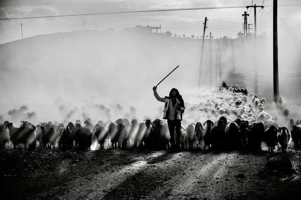 Photograph by Nuket Uluc