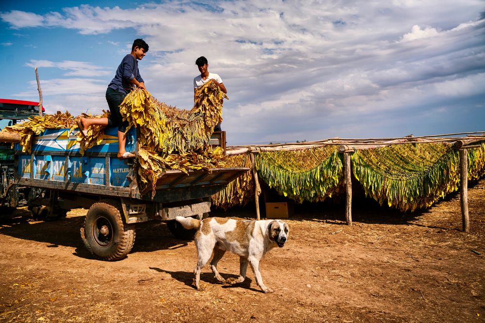 Photograph by Nuket Uluc