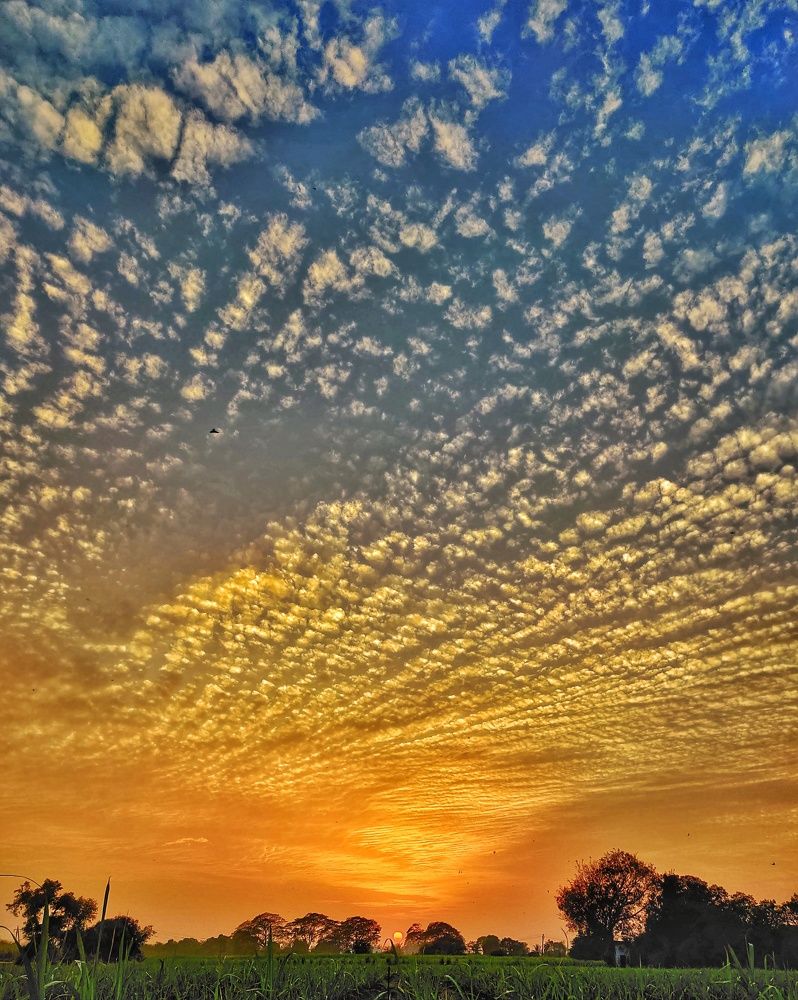 Photograph by Hardeep Solanki