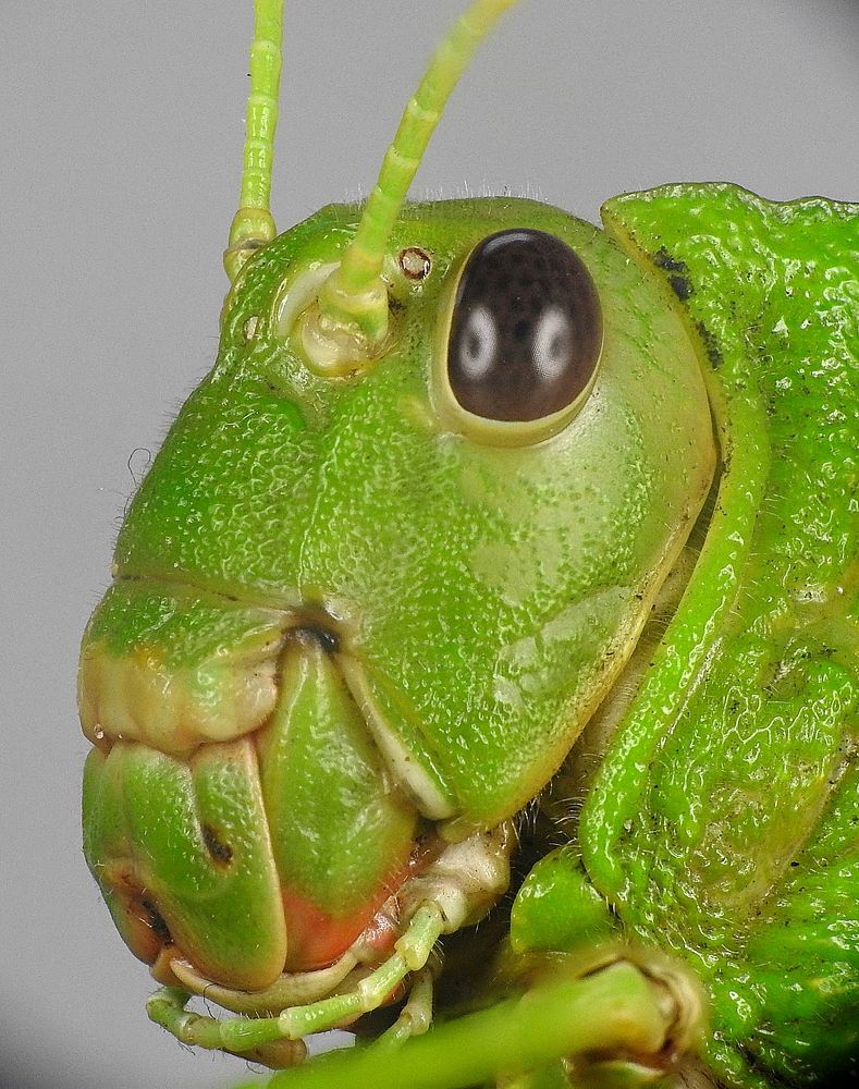 Photograph by Adeilson Melo