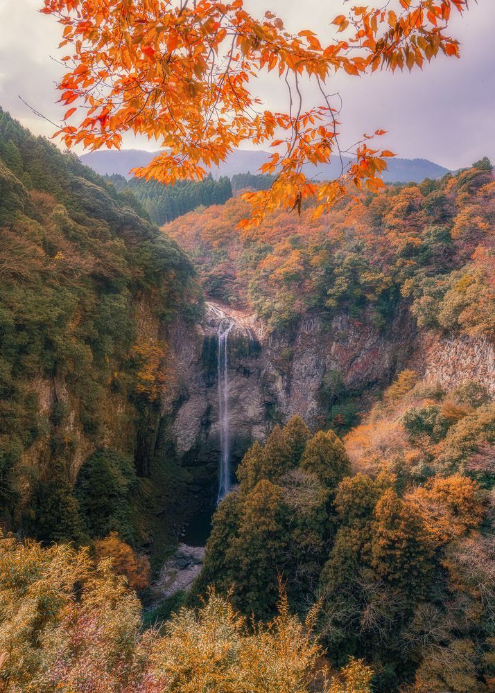 Photograph by Nguyen