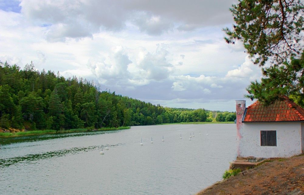 Photograph by Lena Feldman