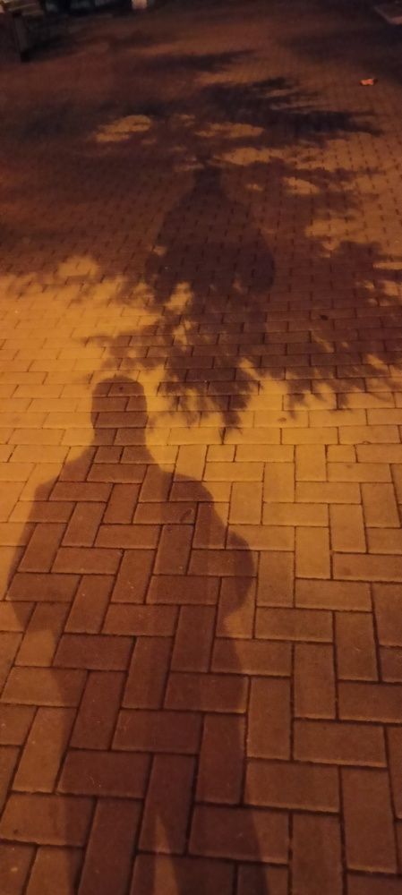 Photograph by Сергей Борисов