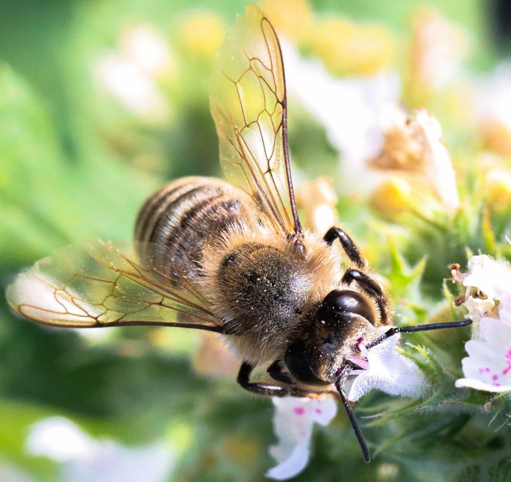 Photograph by Sergey