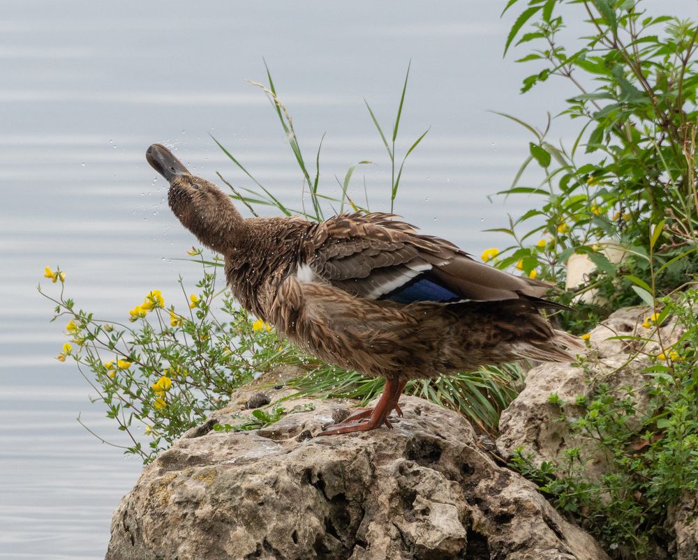 Photograph by Сергей Мальцев