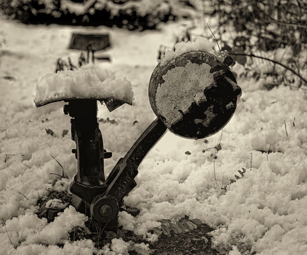 Photograph by Oleg Yashin