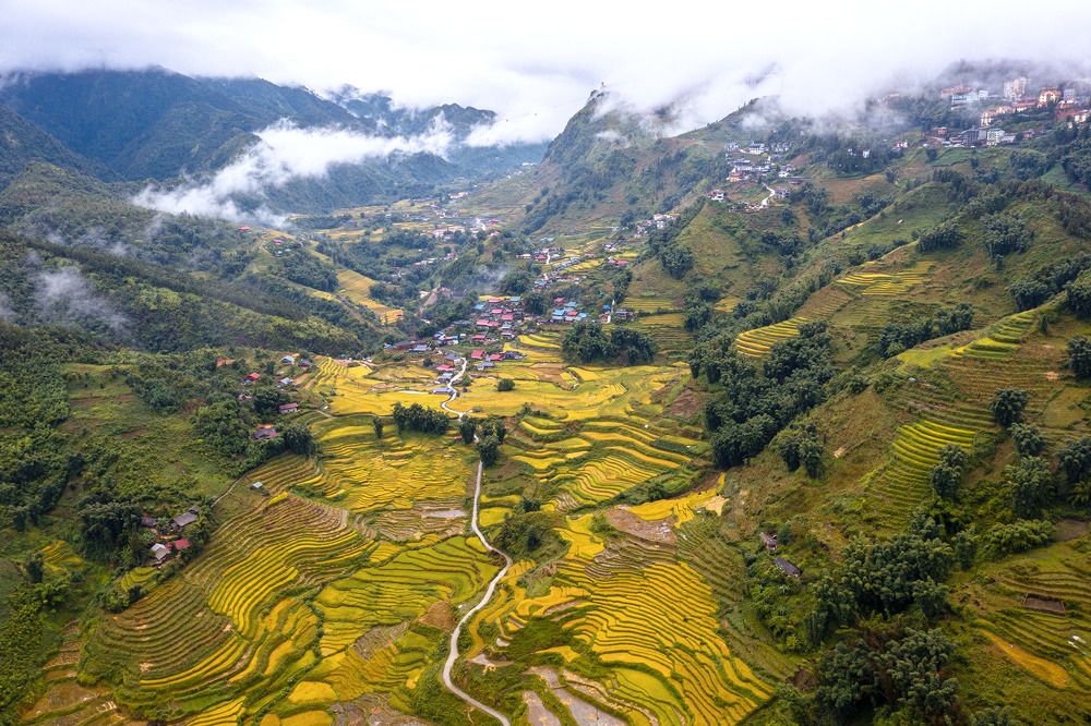 Photograph by Nguyen