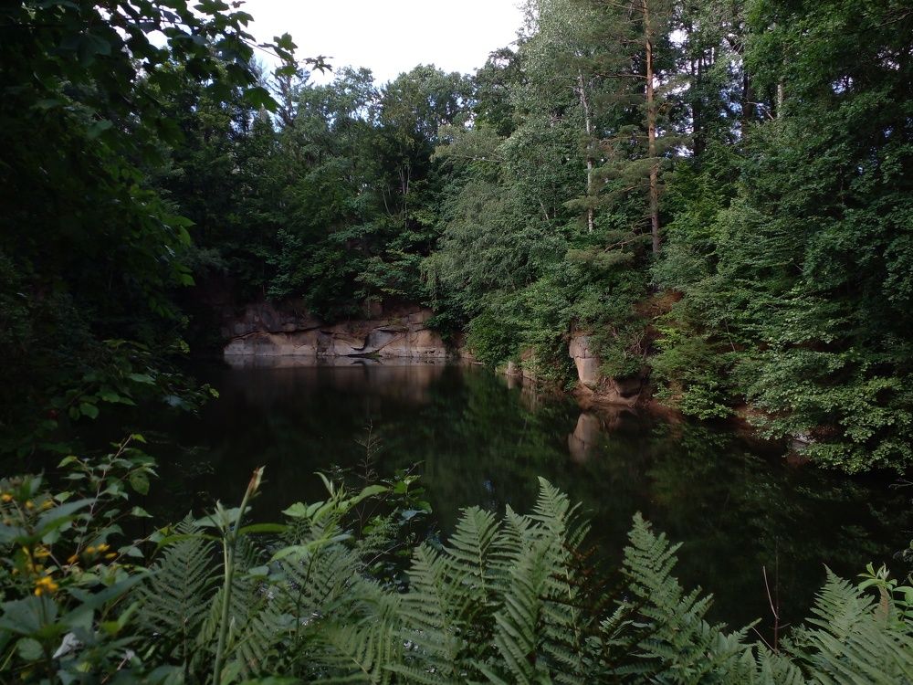 Фотография автора  Lizuza