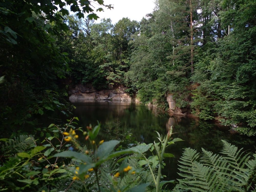 Фотография автора  Lizuza