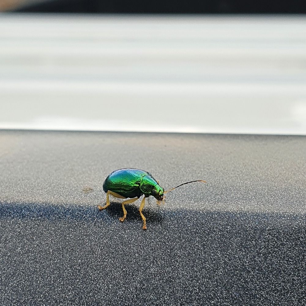 Photograph by Dâmaris Ferrão