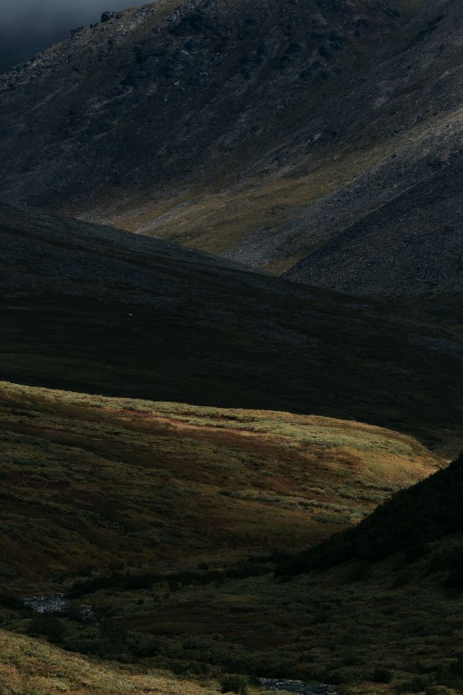 Photograph by Стоянова-Тимбукту Мария