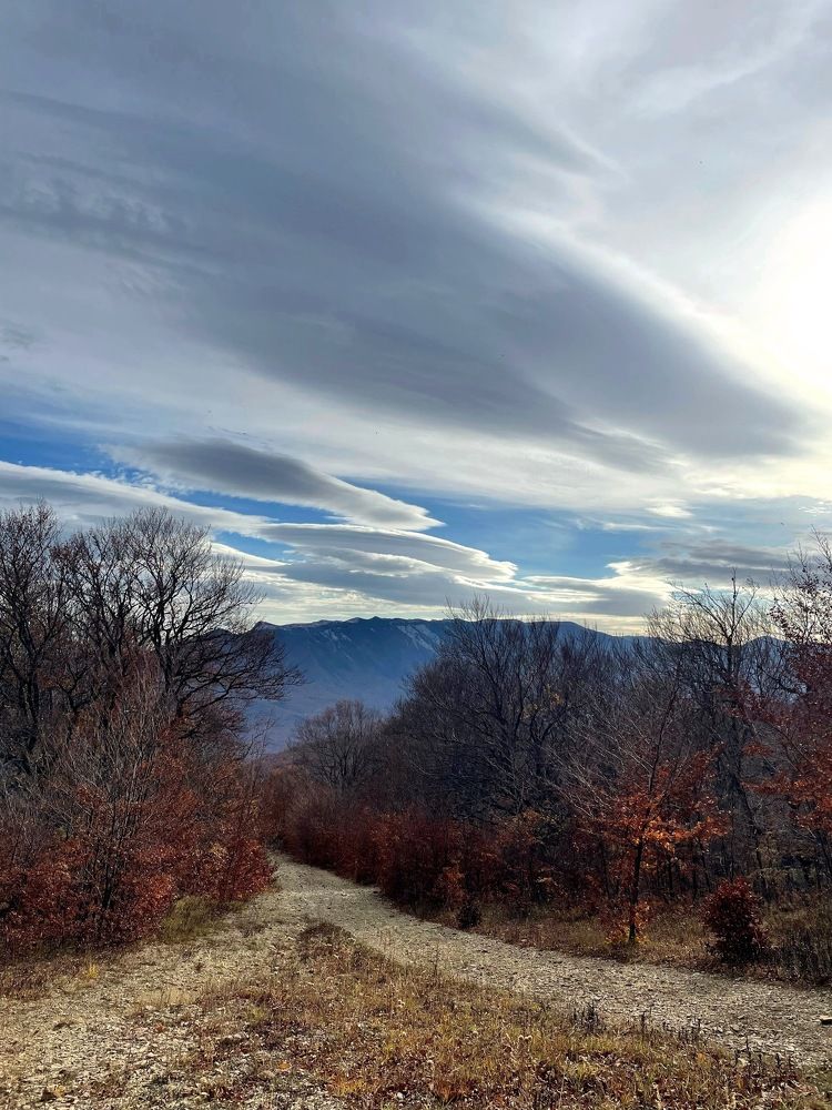 Photograph by Evgewa