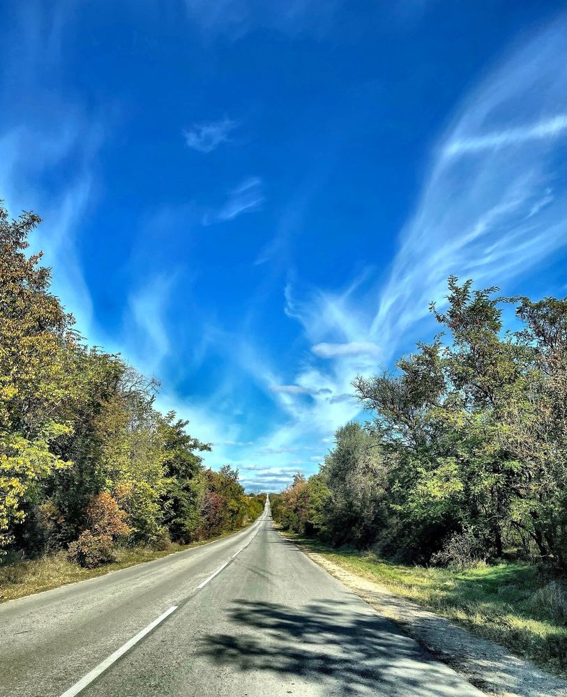 Photograph by Evgewa